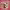 https://res.cloudinary.com/billionhands/image/upload/v1775078645/items/hlyewskppq5lwlfkmzei.webp-2cover