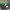 https://res.cloudinary.com/billionhands/image/upload/v1775078713/items/tarni14x8mkrfhwgrz0f.jpg-2cover