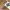 https://res.cloudinary.com/billionhands/image/upload/v1775079233/items/hvx1qshhvsssjleyvywo.jpg-2cover