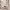 https://res.cloudinary.com/billionhands/image/upload/v1775079253/items/xuag3fabn3naedufglne.webp-2cover