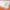 https://res.cloudinary.com/billionhands/image/upload/v1775079486/items/nubwgix0atzagrgpbkkp.jpg-0cover