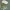 https://res.cloudinary.com/billionhands/image/upload/v1775079623/items/rbfqj7gvtjgq8o7fdeol.jpg-2cover