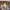 https://res.cloudinary.com/billionhands/image/upload/v1775079736/items/ddxq3nbsapohlimrxht2.jpg-3cover
