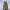 Glastonbury Tor (Glastonbury, Somerset) cover