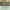 https://res.cloudinary.com/billionhands/image/upload/v1775079820/items/ol50v7kawjky8n4kkfhs.webp-1cover