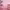 https://res.cloudinary.com/billionhands/image/upload/v1775079824/items/dm9lxvvmfm7ny0myjyjl.avif-0cover