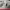 https://res.cloudinary.com/billionhands/image/upload/v1775079827/items/wuj7hg0nnmgpybryxmj0.jpg-2cover
