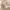 https://res.cloudinary.com/billionhands/image/upload/v1775079829/items/ycgx6tyk7brqvz4pzism.jpg-3cover