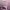 https://res.cloudinary.com/billionhands/image/upload/v1775079893/items/zorlfrsbcyhbzqdxegri.jpg-1cover