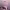 https://res.cloudinary.com/billionhands/image/upload/v1775079894/items/fwxefeiln0aqalmg80ej.jpg-2cover