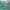 https://res.cloudinary.com/billionhands/image/upload/v1775079899/items/nbxk24xswq0asbt2gtzt.jpg-2cover