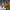 https://res.cloudinary.com/billionhands/image/upload/v1775080035/items/tpog4and43cuk3zuqzd0.jpg-3cover
