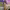 https://res.cloudinary.com/billionhands/image/upload/v1775080036/items/nzup3gqansbmq97odtkj.jpg-2cover