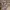 https://res.cloudinary.com/billionhands/image/upload/v1775080217/items/vq8x7jnywbzbuywhzc1d.jpg-2cover