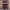 https://res.cloudinary.com/billionhands/image/upload/v1775080226/items/mhgzethklvrofuhheklg.jpg-2cover