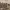 https://res.cloudinary.com/billionhands/image/upload/v1775080231/items/pkgeqhlspd2bgyfac2x7.jpg-3cover