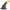 https://res.cloudinary.com/billionhands/image/upload/v1775081225/items/sl88uslmudpld0rfgid1.webp-2cover