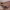 https://res.cloudinary.com/billionhands/image/upload/v1775082135/items/jipk4ofeklgj5vtrryh2.webp-3cover