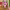 Mckenna Grace cover