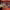https://res.cloudinary.com/billionhands/image/upload/v1775083286/items/awebhqsdltwj3qphagqq.avif-0cover