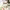 https://res.cloudinary.com/billionhands/image/upload/v1775083744/items/acmphqcm7p6wjrrnrcio.webp-2cover