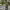 https://res.cloudinary.com/billionhands/image/upload/v1775083781/items/djgzhipjq8srsr9ypqqf.webp-2cover