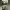 https://res.cloudinary.com/billionhands/image/upload/v1775084076/items/gbfix1kfjzbgvfaflcfp.jpg-3cover