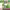 https://res.cloudinary.com/billionhands/image/upload/v1775084096/items/bzcygwi3cyvs8uojgsa2.jpg-2cover