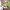 https://res.cloudinary.com/billionhands/image/upload/v1775084101/items/wdl7hz4qxduubuzutrd5.png-3cover