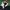 Esteban Ocon wins the 2021 Hungarian Grand Prix (2021) cover