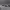 https://res.cloudinary.com/billionhands/image/upload/v1775084339/items/cgf1sjpyzmsx9yjfogjo.avif-1cover