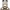 https://res.cloudinary.com/billionhands/image/upload/v1775084629/items/iqw9y9llc8i23qvn1rbt.webp-1cover