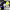 https://res.cloudinary.com/billionhands/image/upload/v1775084666/items/yq4vpmtum8xdesrw4gez.jpg-3cover