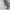 https://res.cloudinary.com/billionhands/image/upload/v1775084770/items/j10yeytobwjbsvwe0ste.jpg-3cover