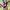 https://res.cloudinary.com/billionhands/image/upload/v1775085011/items/eznhkq1uqlydcz6ch7zf.jpg-0cover