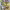 https://res.cloudinary.com/billionhands/image/upload/v1775085023/items/pyudigjmj0kcropqcmuc.jpg-3cover