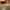 https://res.cloudinary.com/billionhands/image/upload/v1775085067/items/qusnxj1qfu40tcosow1d.gif-0cover