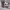 https://res.cloudinary.com/billionhands/image/upload/v1775085070/items/fktv5cqwybs2gmsgpjmx.webp-3cover