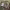 https://res.cloudinary.com/billionhands/image/upload/v1775085127/items/iwnjdaf6rck49tskcsd2.webp-3cover