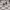 https://res.cloudinary.com/billionhands/image/upload/v1775085616/items/rdgrzcgciebrzhn0svaj.webp-3cover