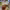 https://res.cloudinary.com/billionhands/image/upload/v1775085954/items/bcvj9k8fhjhet0kv5bpg.webp-1cover