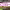 https://res.cloudinary.com/billionhands/image/upload/v1775086530/items/gyc7ptj3ywenw4phjtyw.webp-2cover