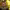 https://res.cloudinary.com/billionhands/image/upload/v1775086679/items/w8ylbmmlpfg3oird31df.webp-1cover