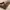 https://res.cloudinary.com/billionhands/image/upload/v1775087111/items/mkdwpgf63z9tugx3iqqu.webp-0cover