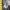 https://res.cloudinary.com/billionhands/image/upload/v1775087181/items/rwor5tgnpnwy9ok6utit.jpg-1cover