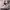 https://res.cloudinary.com/billionhands/image/upload/v1775087210/items/vdvfa1fylqbtp63uup7j.jpg-3cover