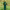 https://res.cloudinary.com/billionhands/image/upload/v1775087403/items/zf3xectn7vfjgnnknd59.jpg-0cover