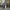 https://res.cloudinary.com/billionhands/image/upload/v1775087433/items/iygcmuakix3ijesh7k7e.jpg-2cover