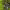 https://res.cloudinary.com/billionhands/image/upload/v1775087740/items/bf49g3hj7cuniiit7zpl.avif-0cover