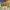 https://res.cloudinary.com/billionhands/image/upload/v1775087745/items/llhm9mnzlegollxwbhra.webp-3cover